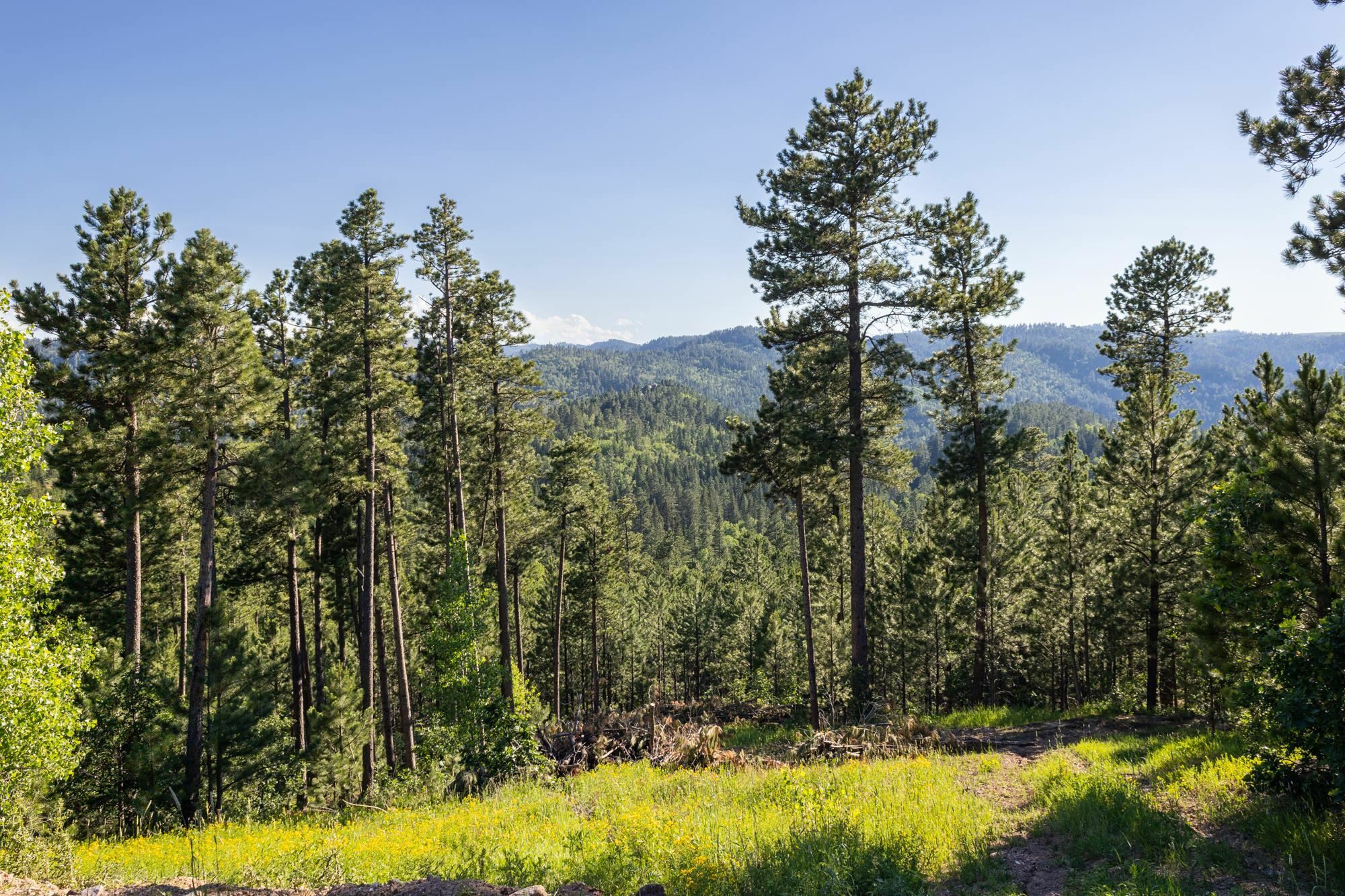 Lot 122 Paradise Gulch Loop  Lead SD 57754 photo