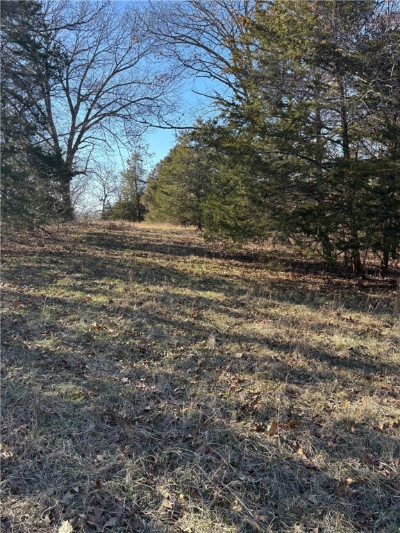 Property Photo: 22ac Gann Ridge Road AR 72732