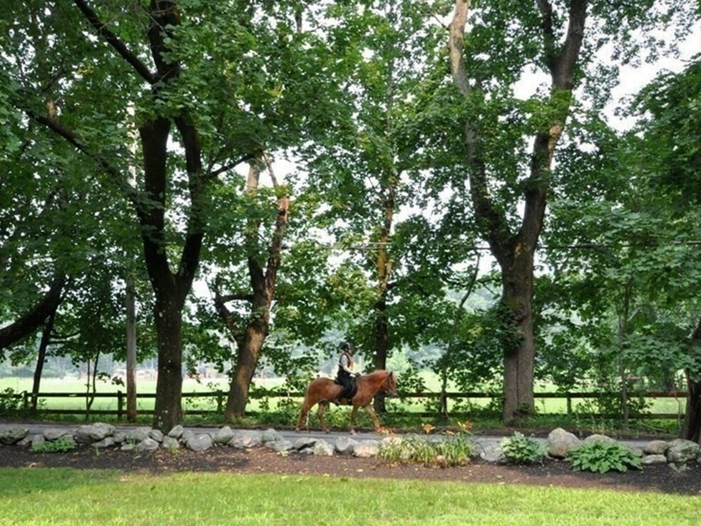 Property Photo:  43 Old Concord Rd  MA 01773 