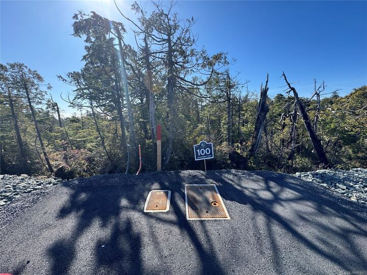 Lot 100 Sitka Pl — photo 1