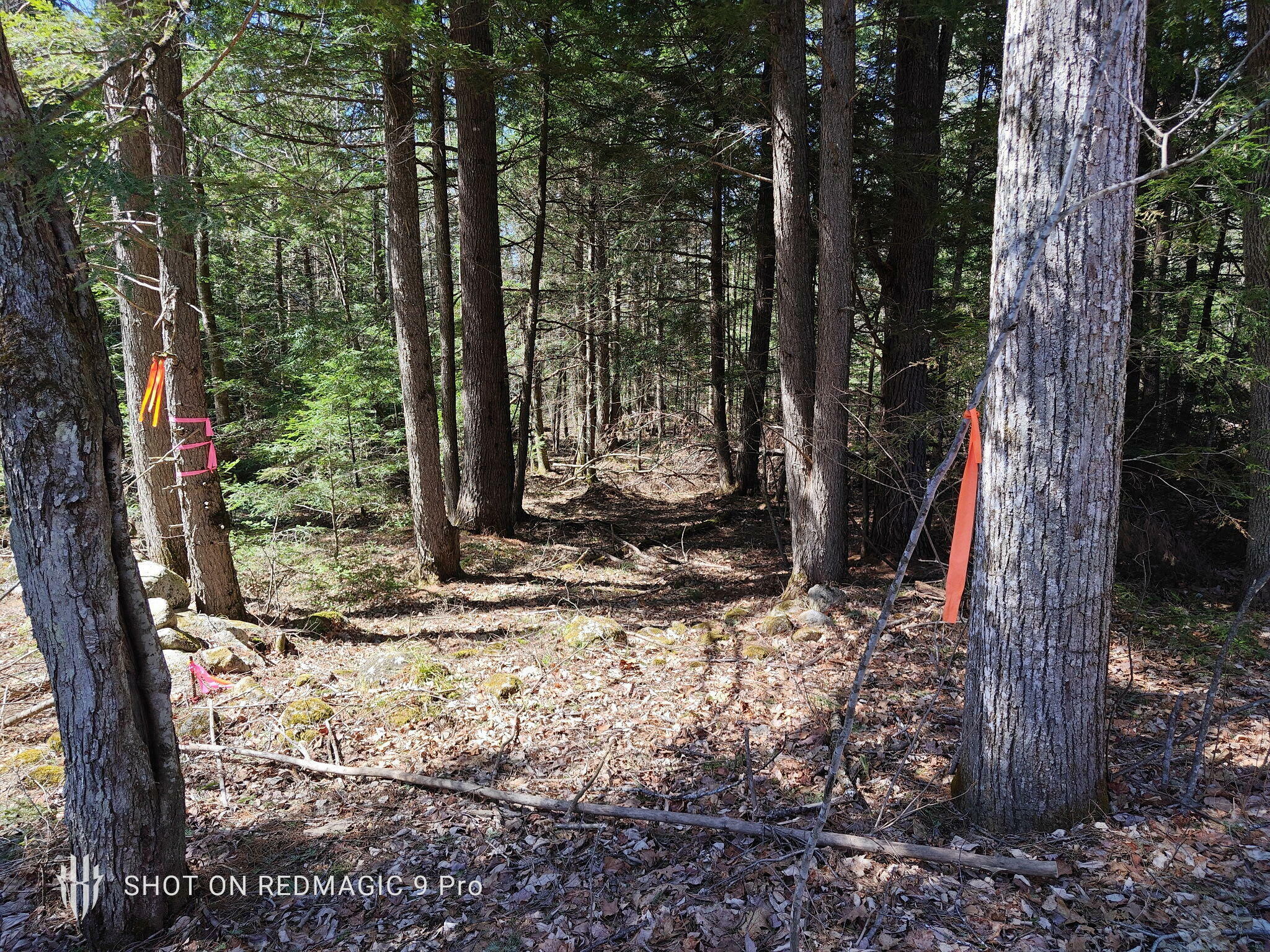 Property Photo: R1 38.1 Parsons Road ME 04281