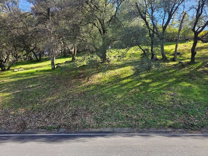 Property Photo:  11839 Warbler Way  CA 95946 