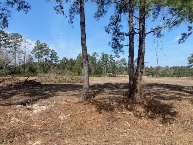 Property Photo:  La-3226  LA 70634 