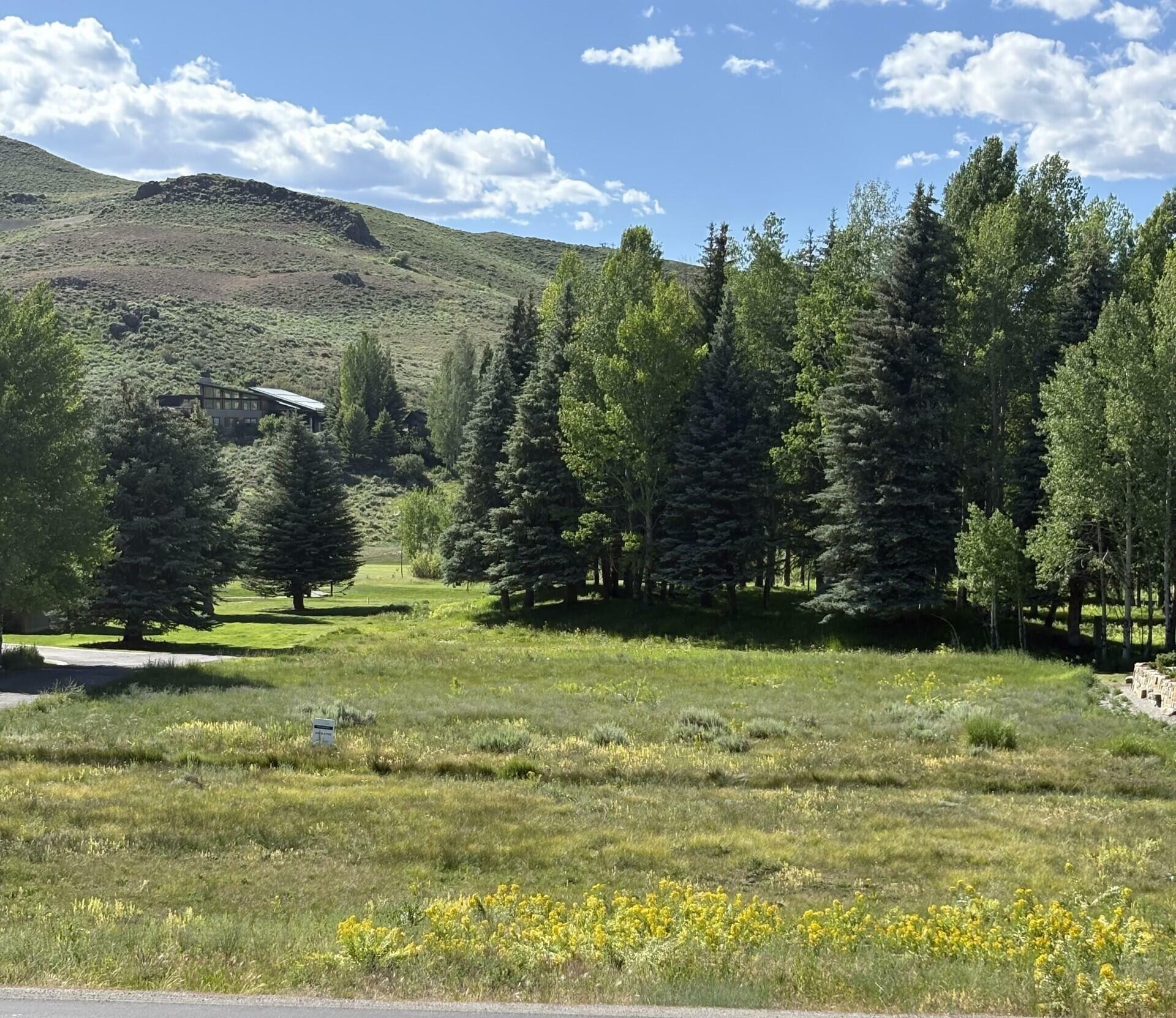 Property Photo:  232 Elkhorn Road Rd  ID 83353 