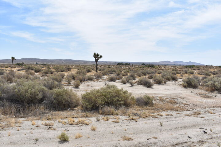 Property Photo:  47660 E 120th St E Street  CA 93535 