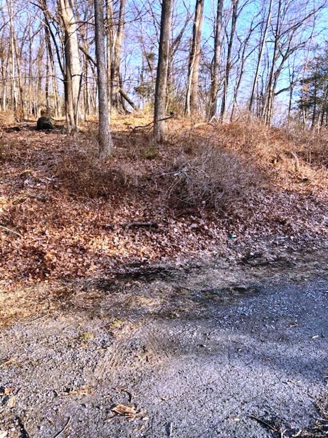 Property Photo: Lot 7 Mountainside Trail NY 10567