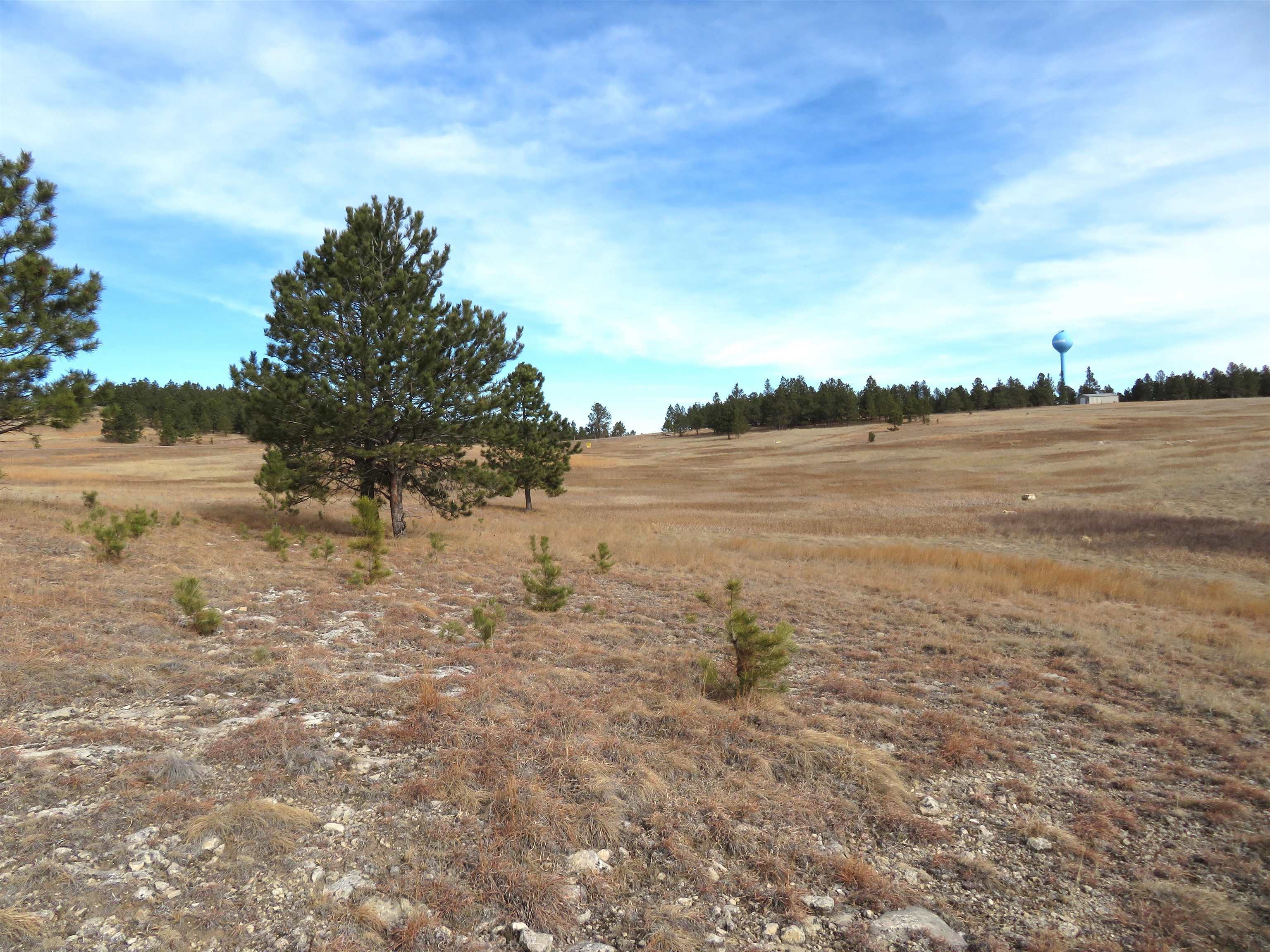 Property Photo: Lot 10 Lonesome Dove Street SD 57730