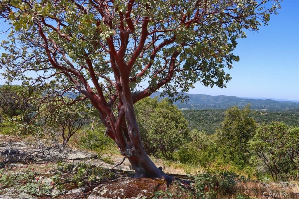 Property Photo:  0 155.3 Ac Old Yosemite Road  CA 93644 