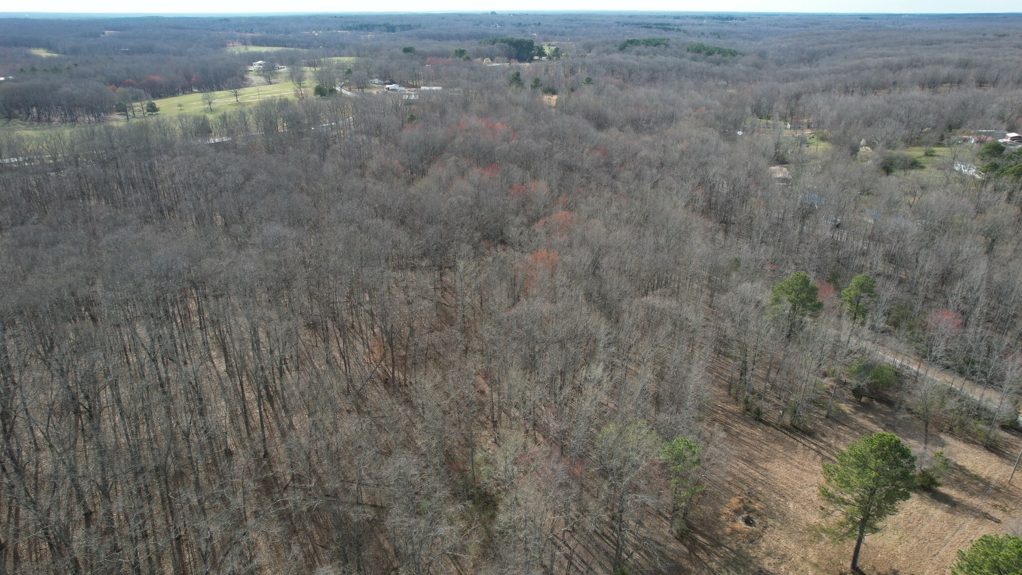 174 Drakes Lane  Summertown TN 38483 photo