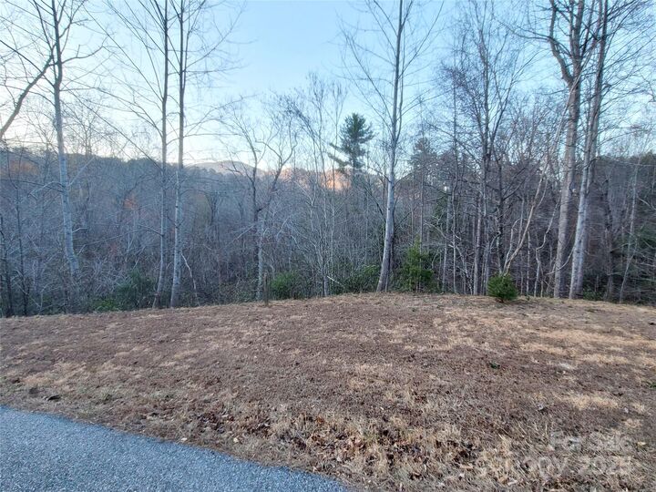 Property Photo:  000 Clear Creek Trail 47  NC 28746 
