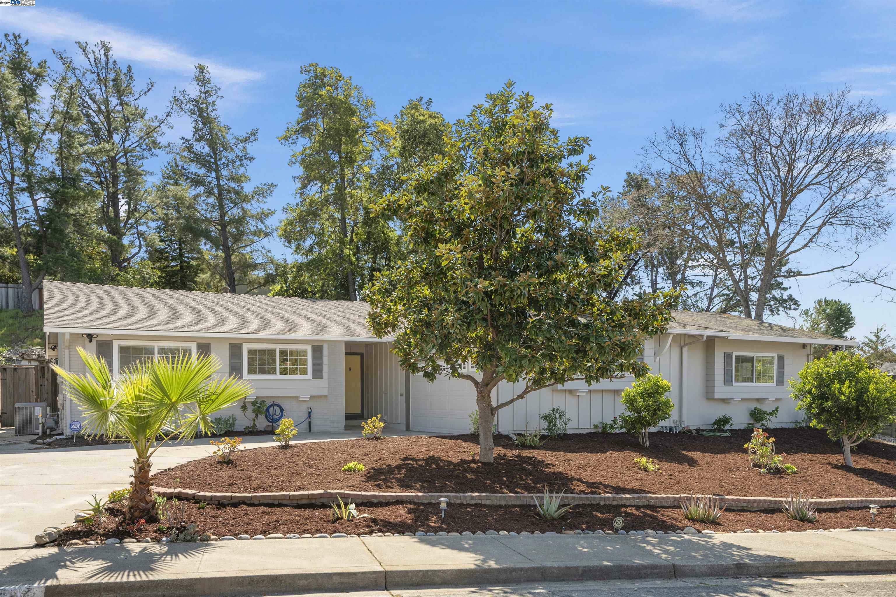 241 Fernwood Dr  Pleasant Hill CA 94523 photo