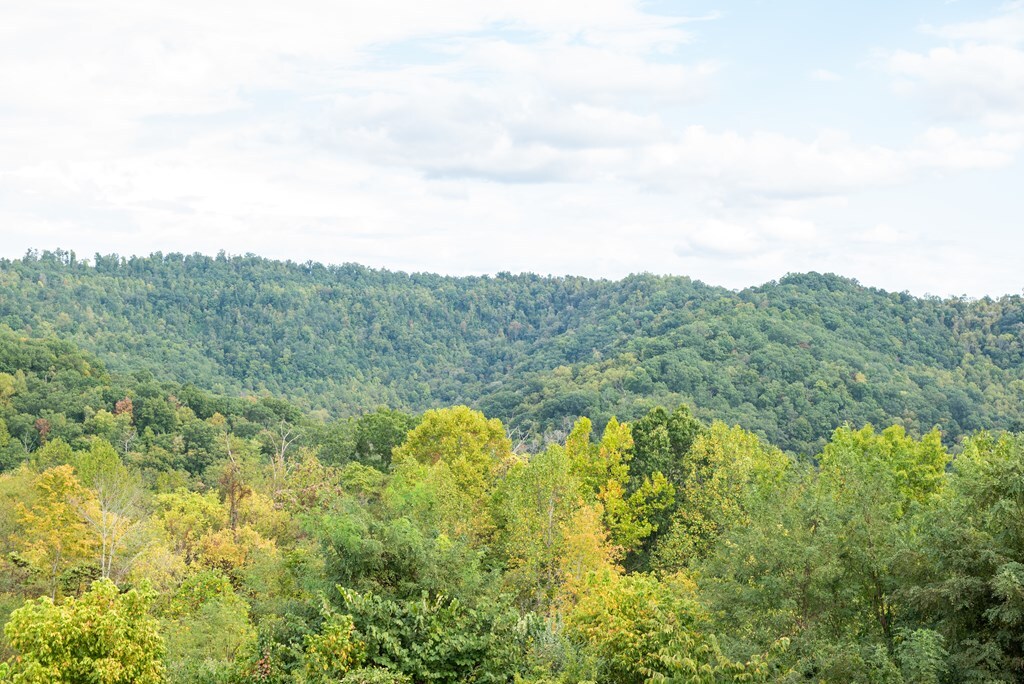 Property Photo:  Lot 41 Mountainview Court  KY 41501 