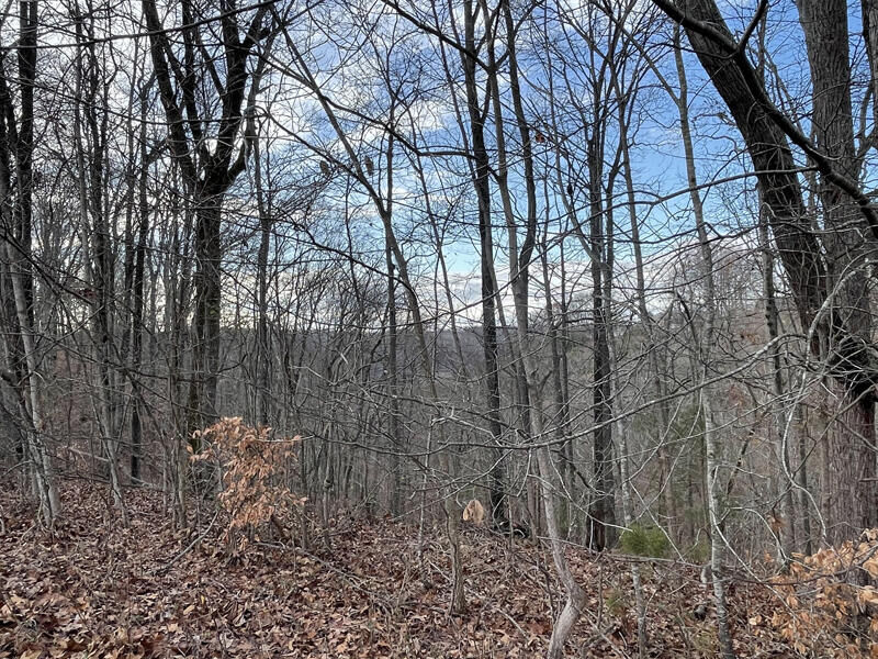 Property Photo: Lot 14 The Village At Laurelwood KY 42544