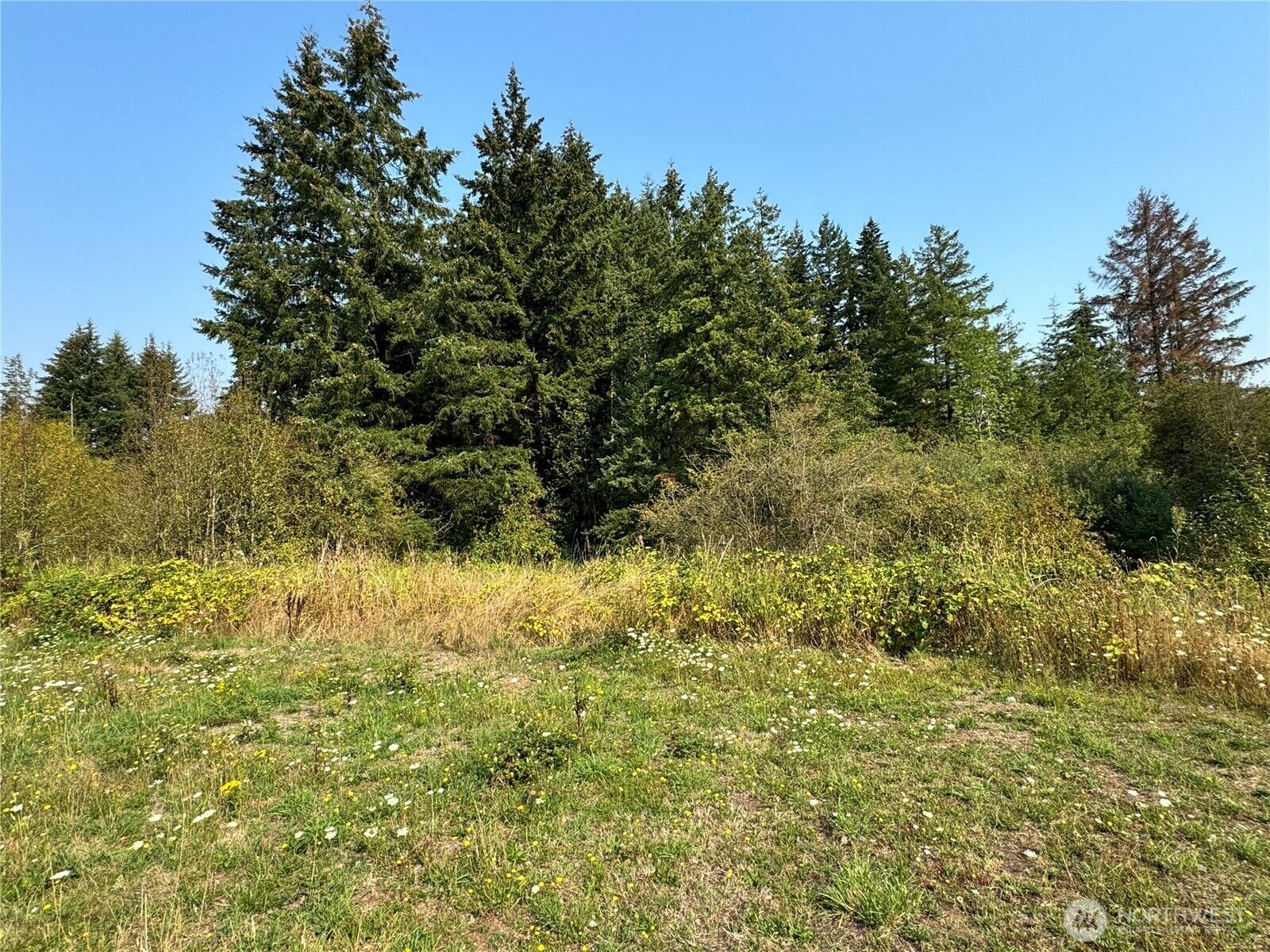 Property Photo: 955 Koontz Rd Road WA 98532