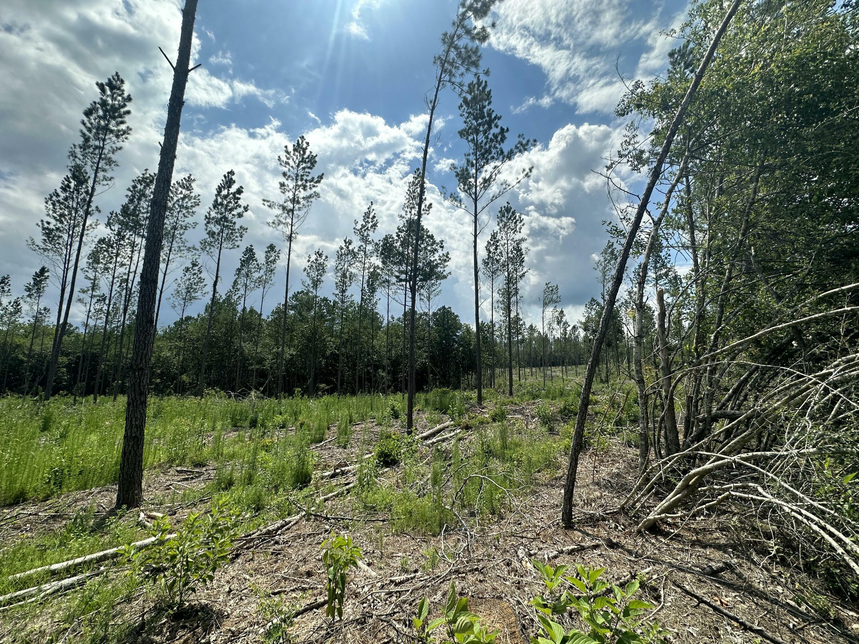 Property Photo: Parcel B Yellow River Baptist Church Road FL 32531