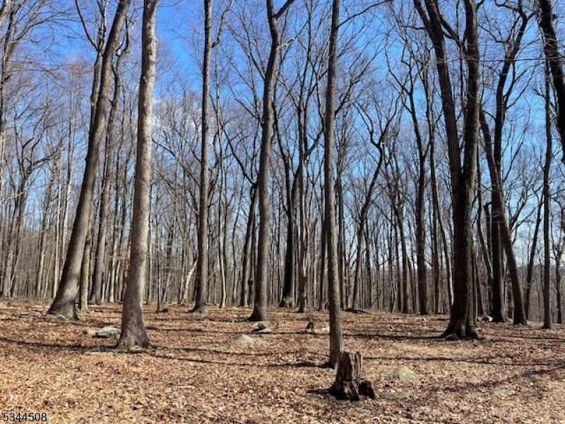 Property Photo: 7 Calais Rd NJ 07945