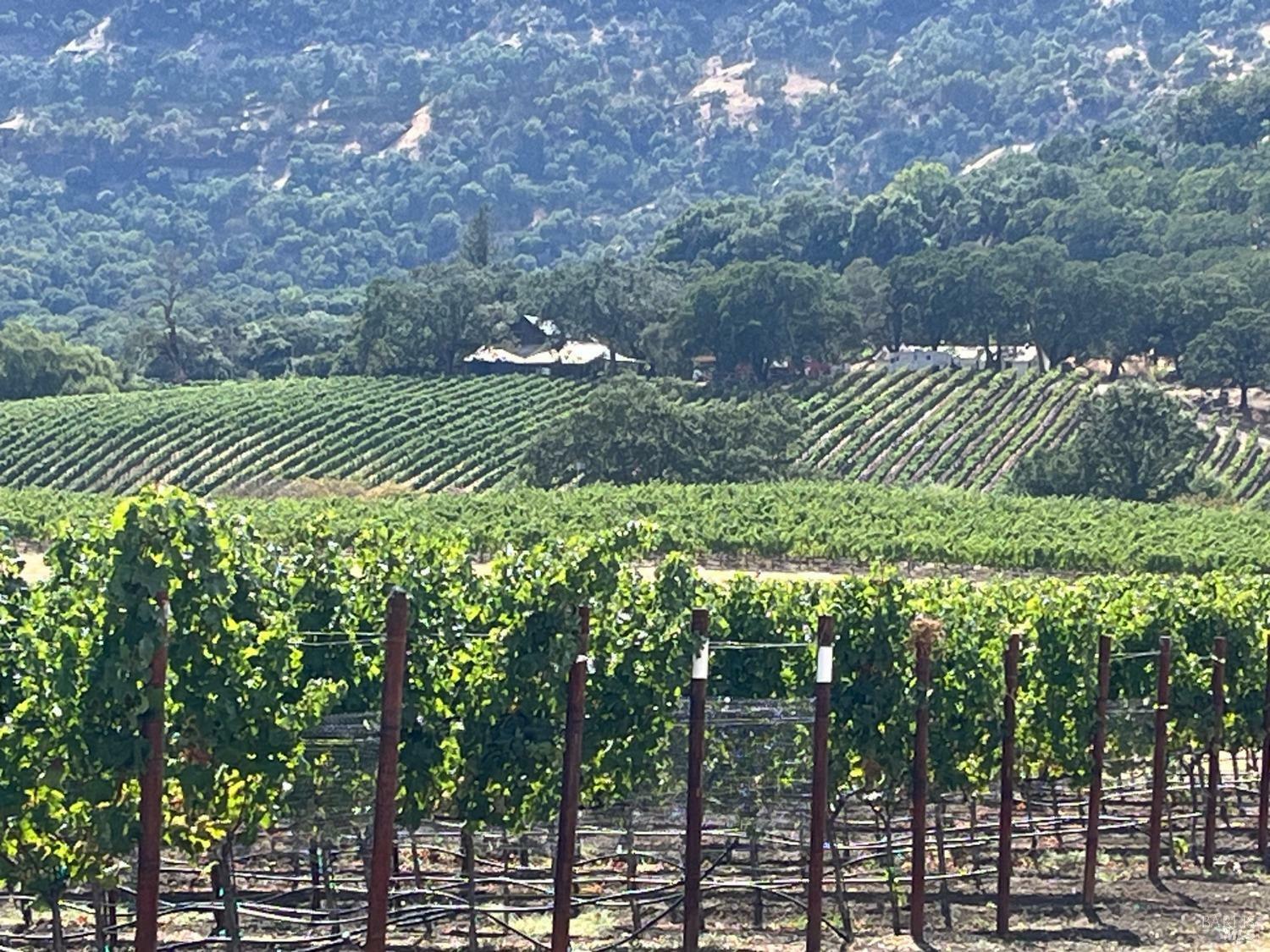 Property Photo: 4060 Monticello Road CA 94558