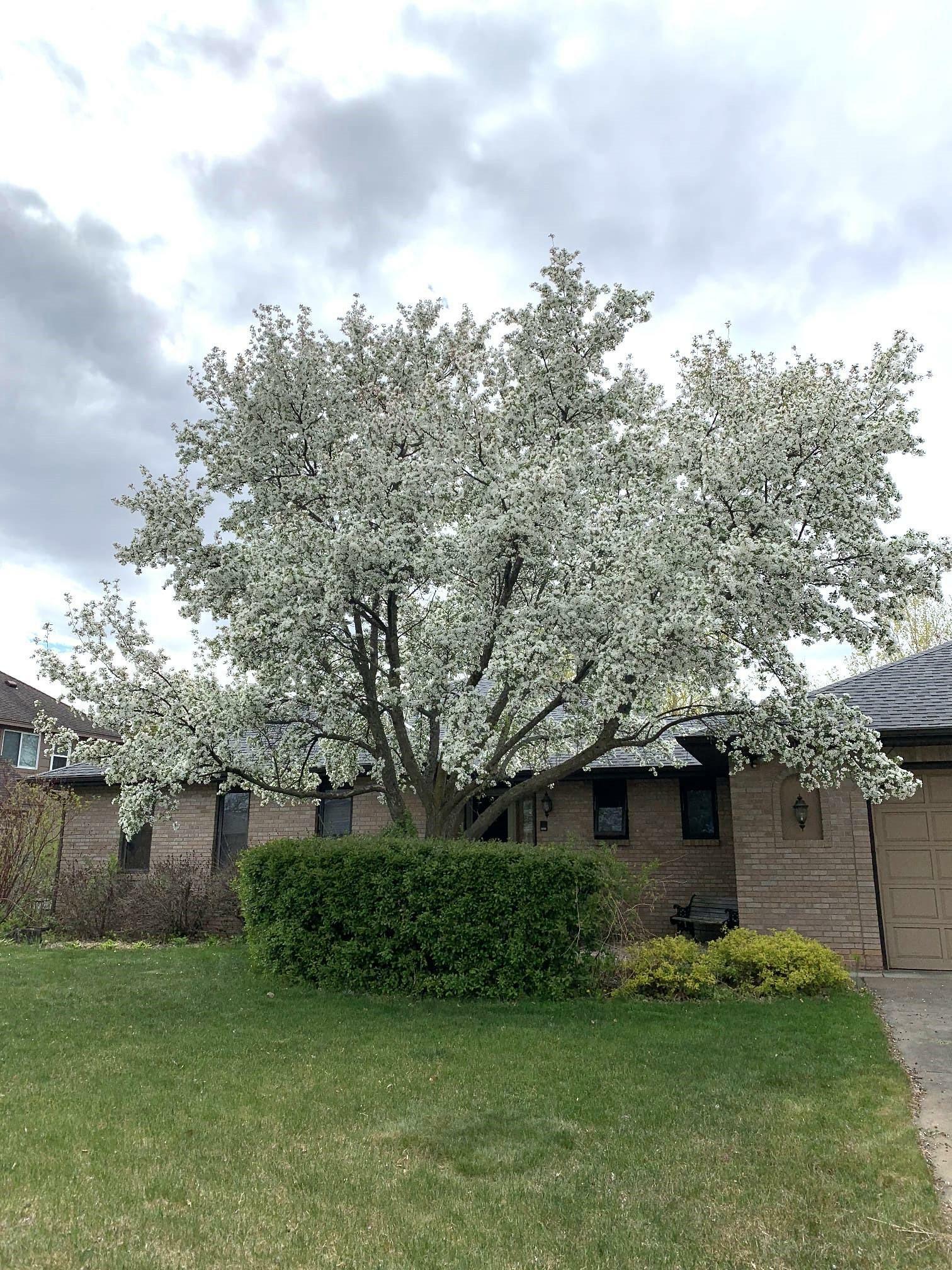 Property Photo: 14818 Waco Street NW MN 55303
