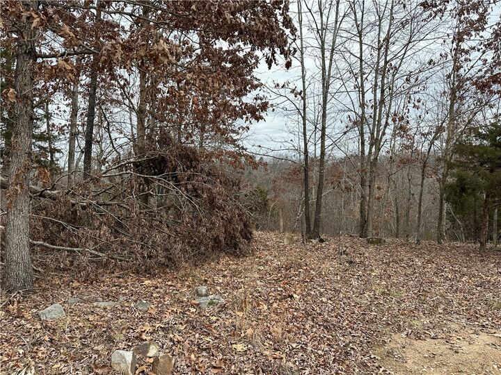 Property Photo:  Lot 3 Deer Meadows Lane  AR 72687 