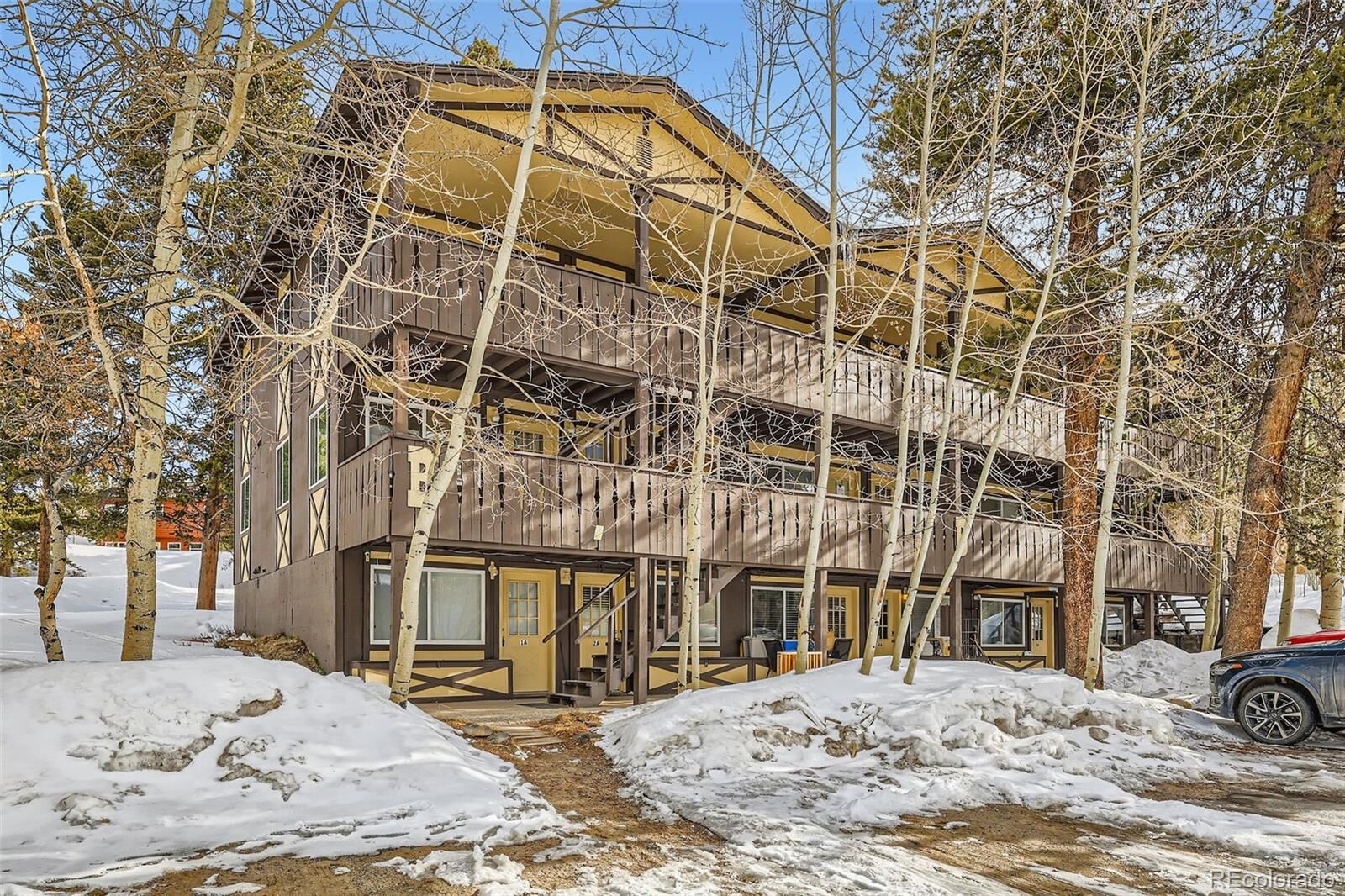 Property Photo:  1941 Boreas Pass Road 1C  CO 80424 