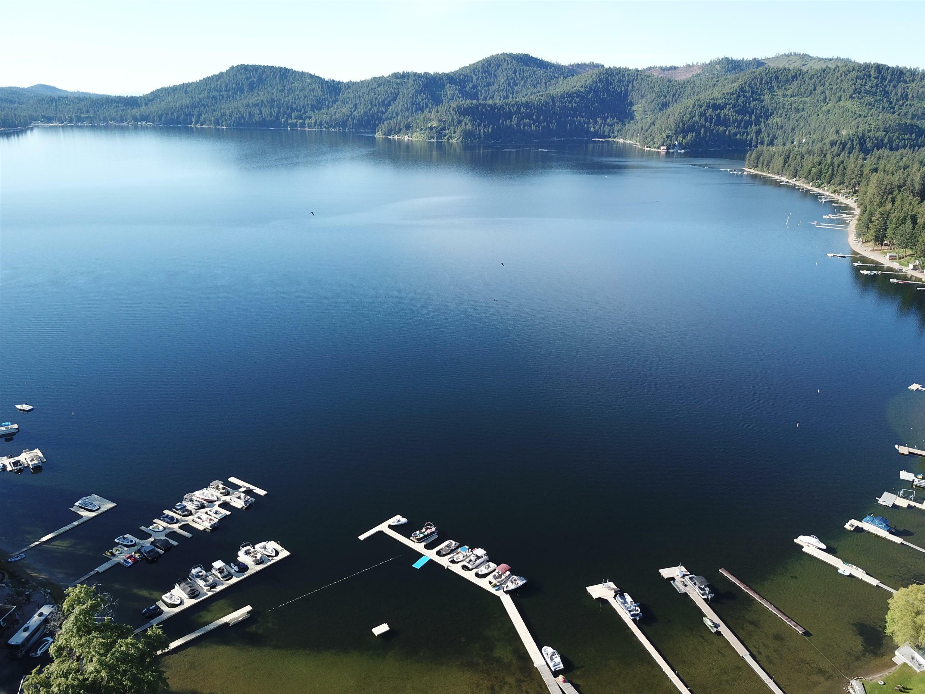 3943 Bonita Vista Way  Loon Lake WA 99148 photo