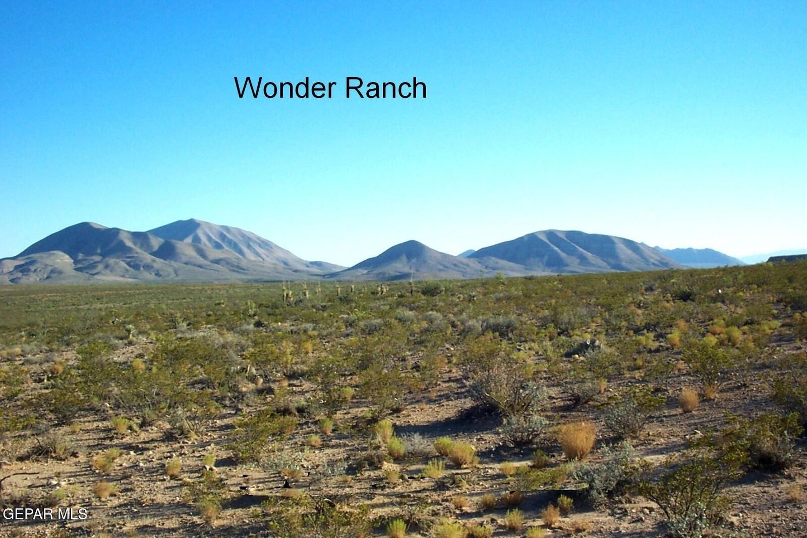 Property Photo:  Tbd Wonder Ranch 63 1/2 Sec 22 Psl  TX 79851 