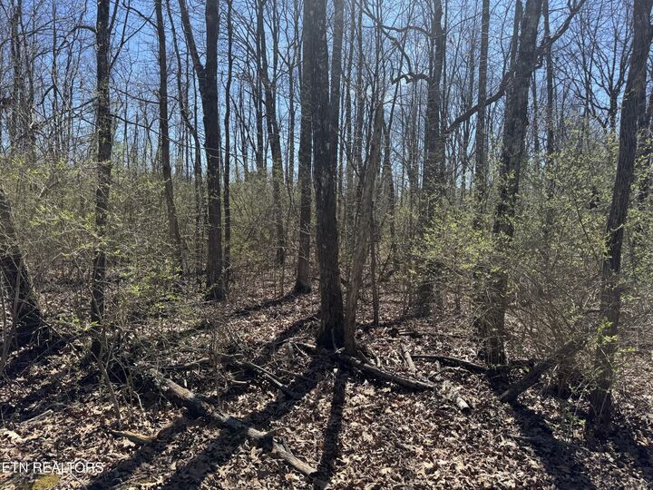 Property Photo: 0 Tenth/Knight TN 38555