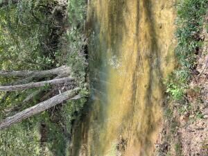 Property Photo: 303 S Caney Springs Road AR 72556
