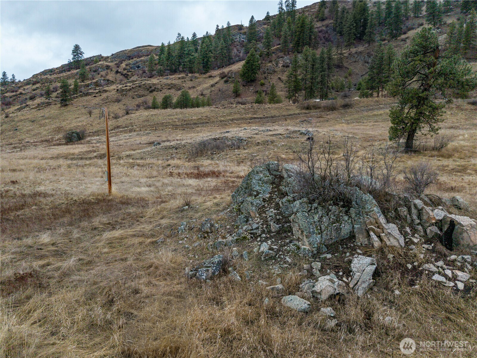 18277  Hwy 21  N  Curlew WA 99118 photo