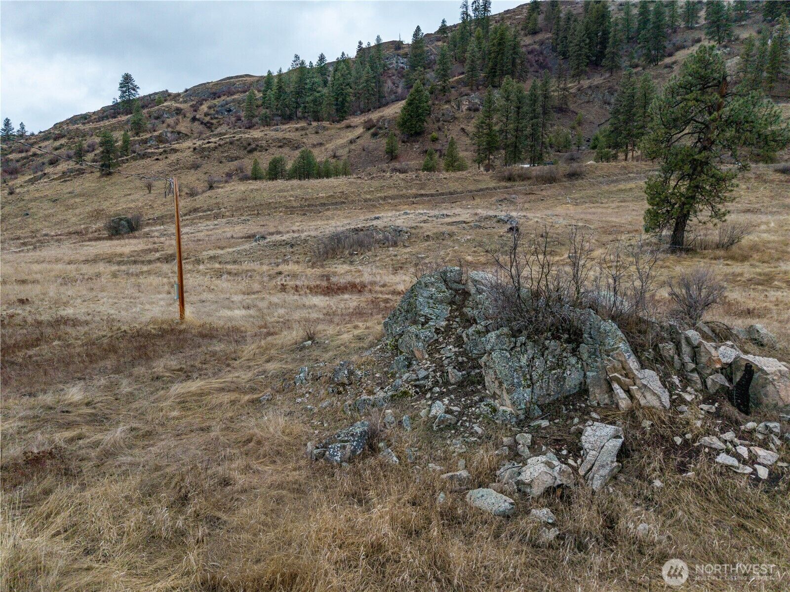 Property Photo:  18277  Hwy 21  N  WA 99118 