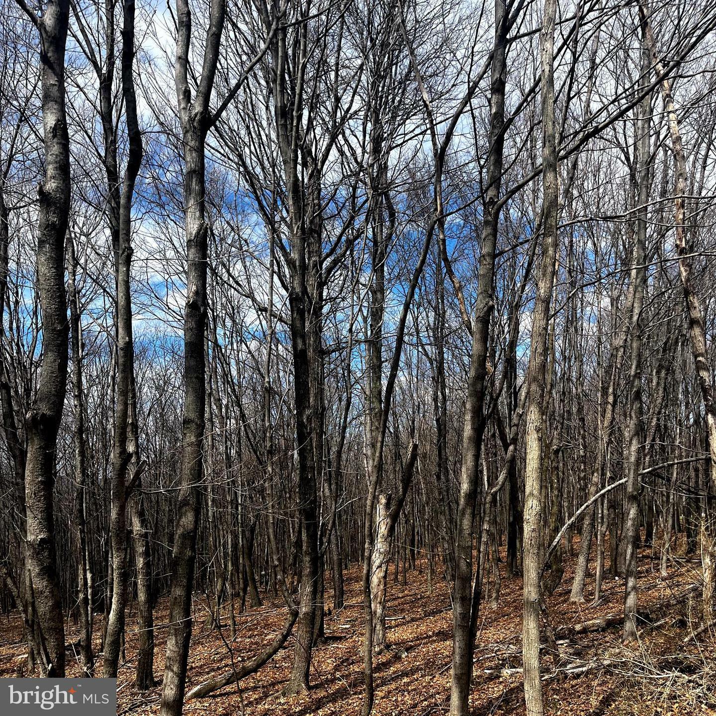 Property Photo: 12215 Barbers Hill Road MD 21532