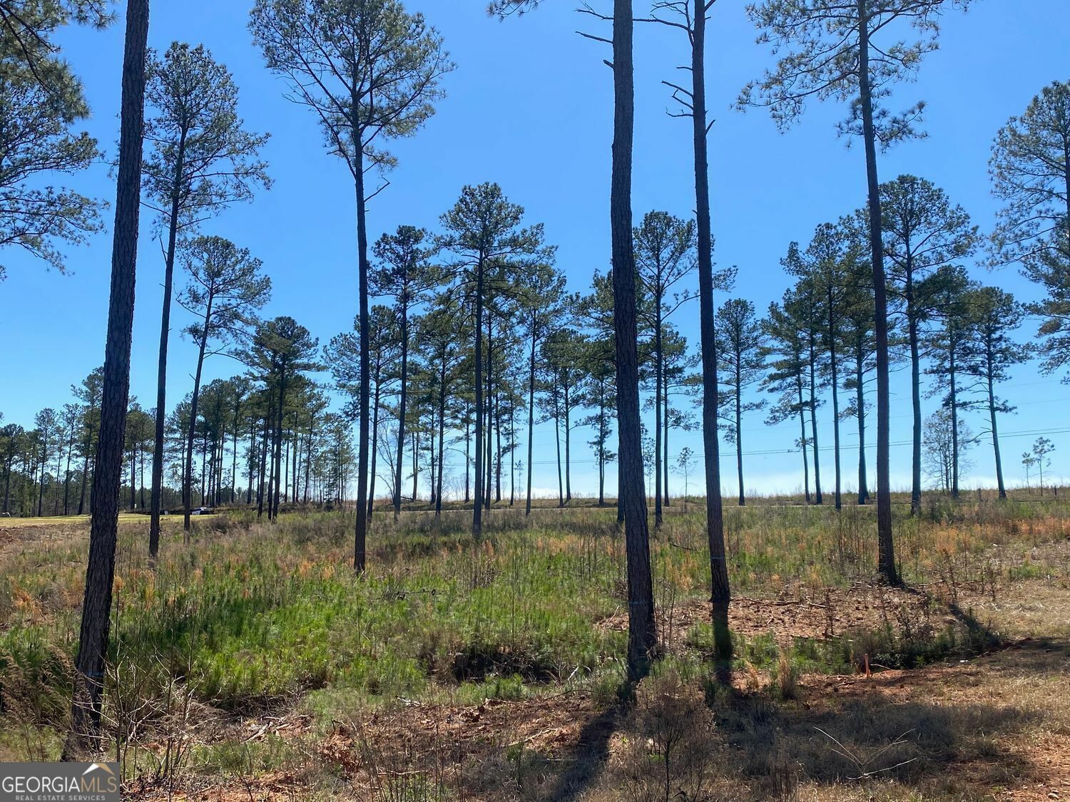 Property Photo: 709 Giles Road GA 31029