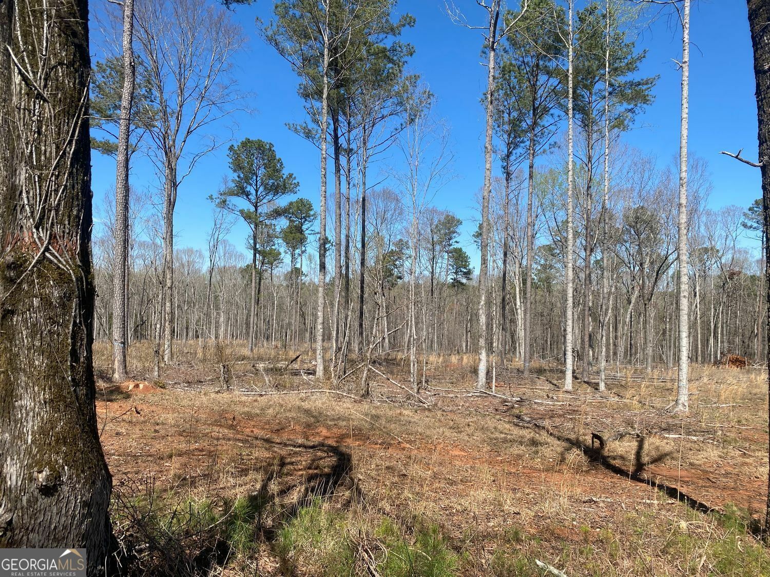 Property Photo: 659 Giles Road GA 31029