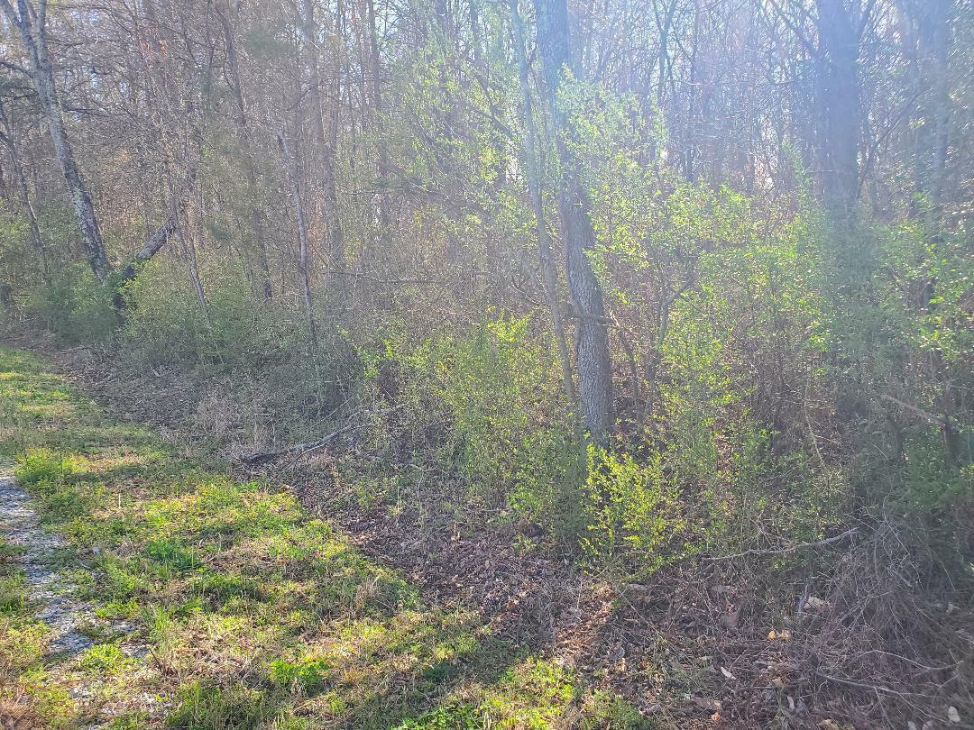 Property Photo: Lot 2 Highway 304 TN 37322