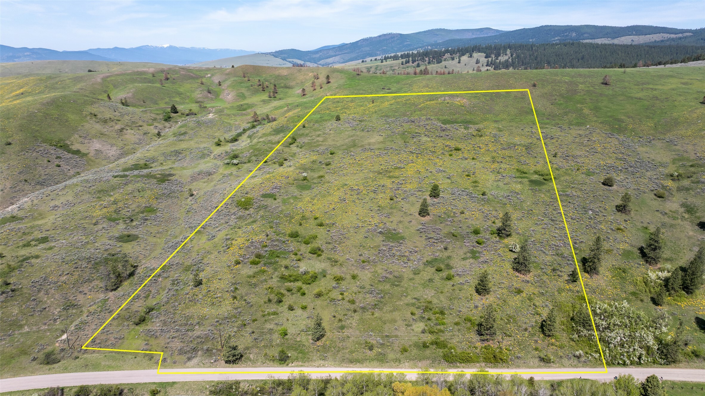 Property Photo:  Nhn Butler Creek Road  MT 59808 