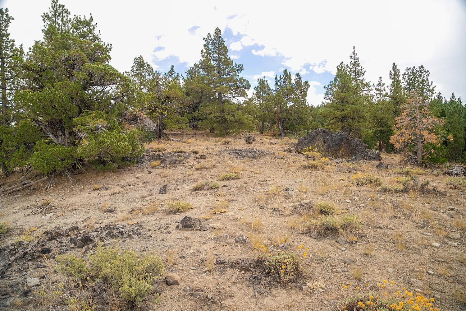 Property Photo: 321 Eagles Nest CA 96161