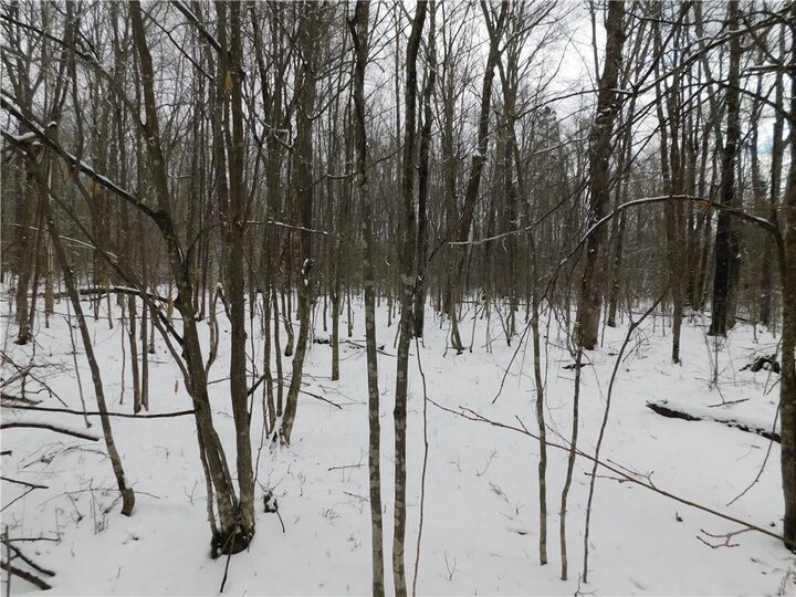 Property Photo:  80 Acres Off Of County Road O  WI 54459 