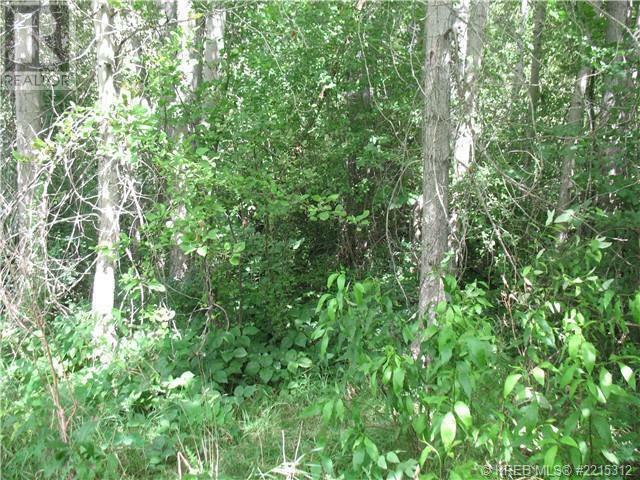 2073 Raspberry Road  Robson BC V0G 1X0 photo
