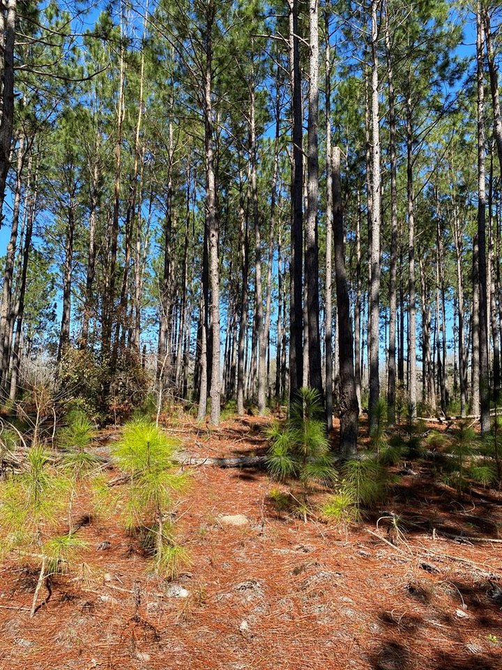 Property Photo: Lot 5 Whispering Pines Dr. GA 31079