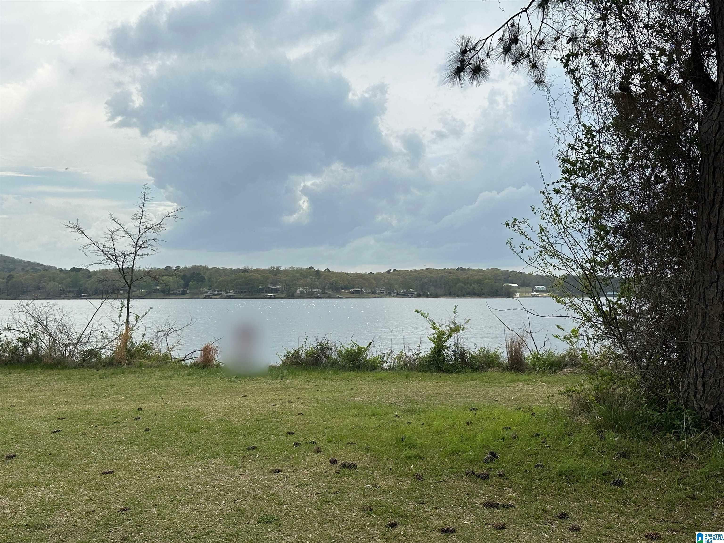 1331 Funderburg Bend Road  Pell City AL 35128 photo