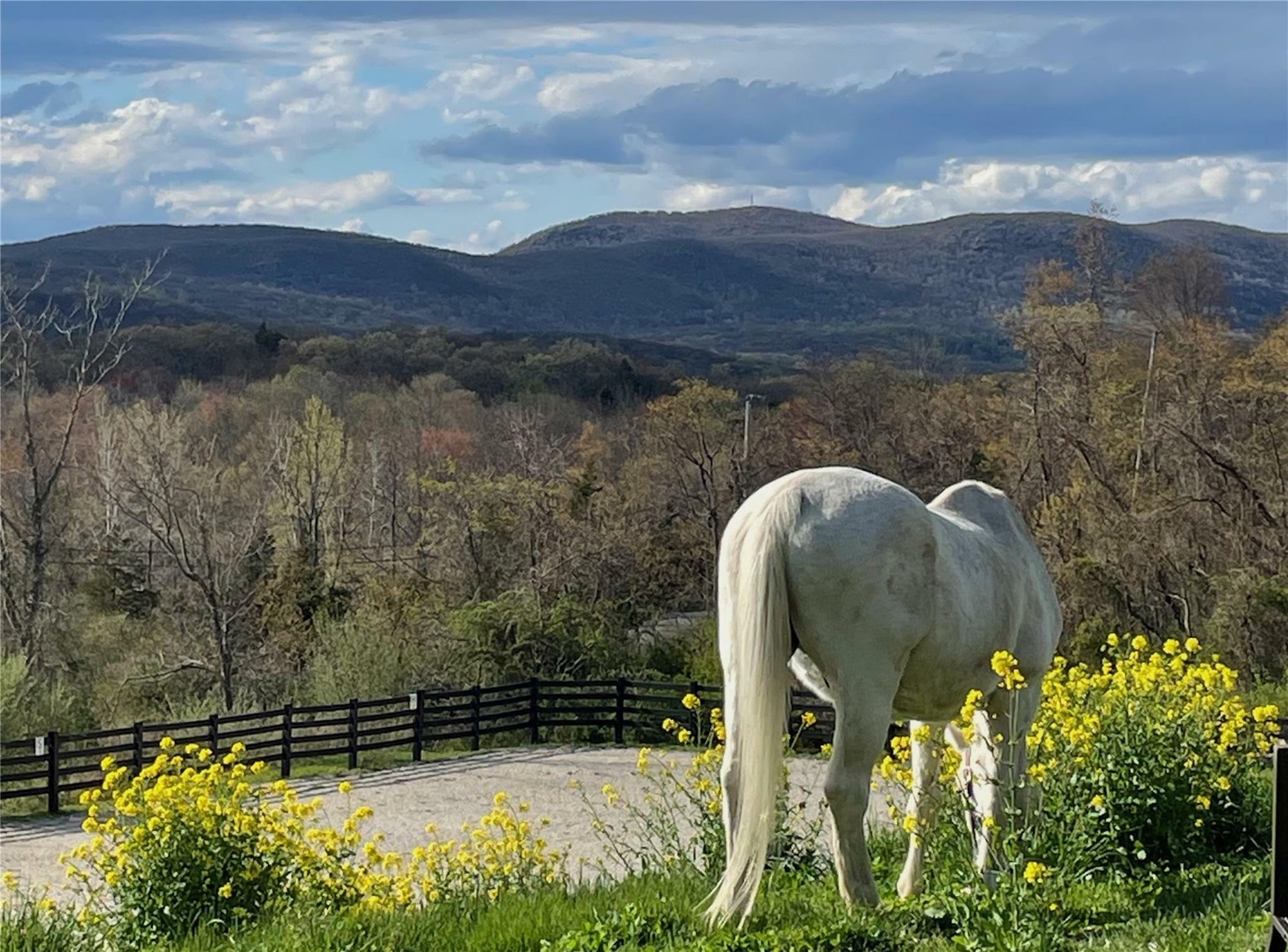 Property Photo: 2680 Route 9 NY 10516