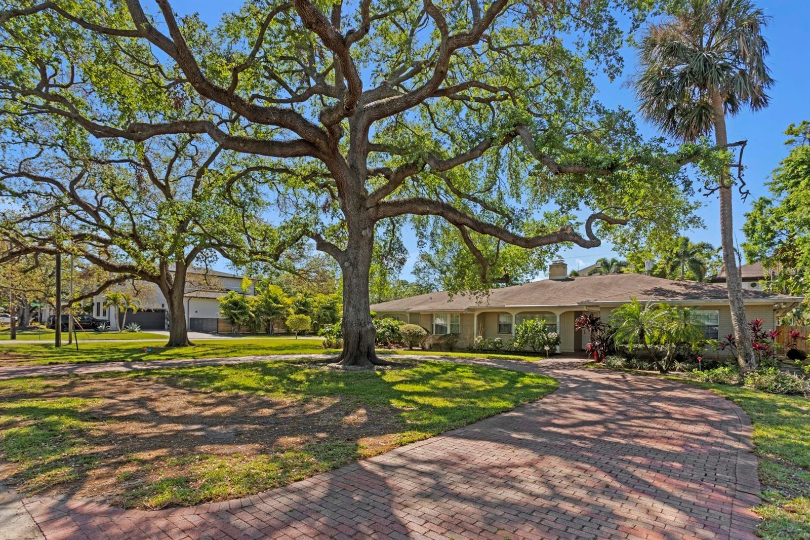 Property Photo: 4302 W Woodmere Road FL 33609