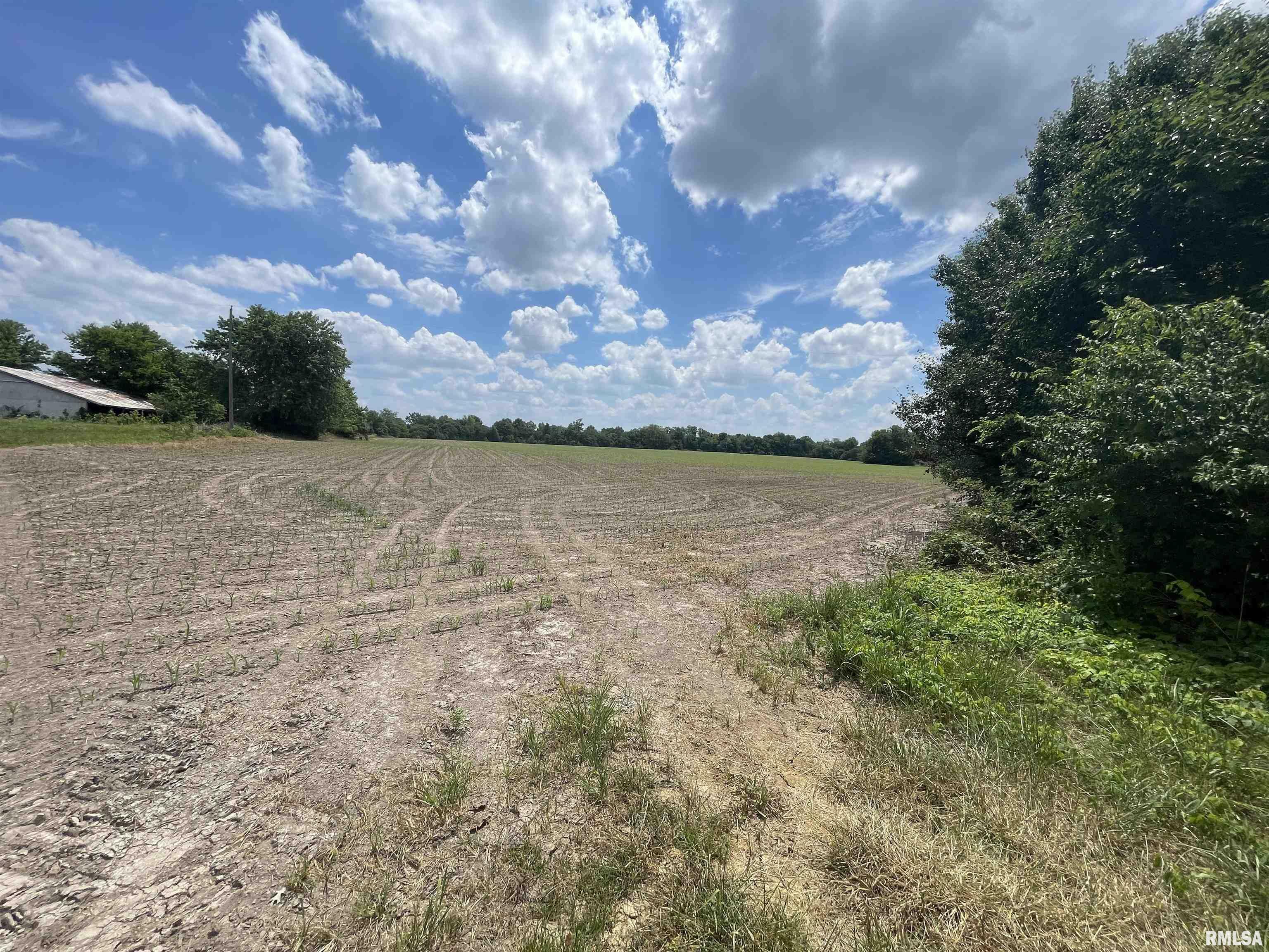 Property Photo: 000 Old Bainbridge Road IL 62959