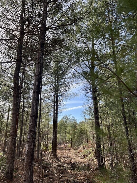 Property Photo:  Lot 5A Munsell Street  MA 01007 