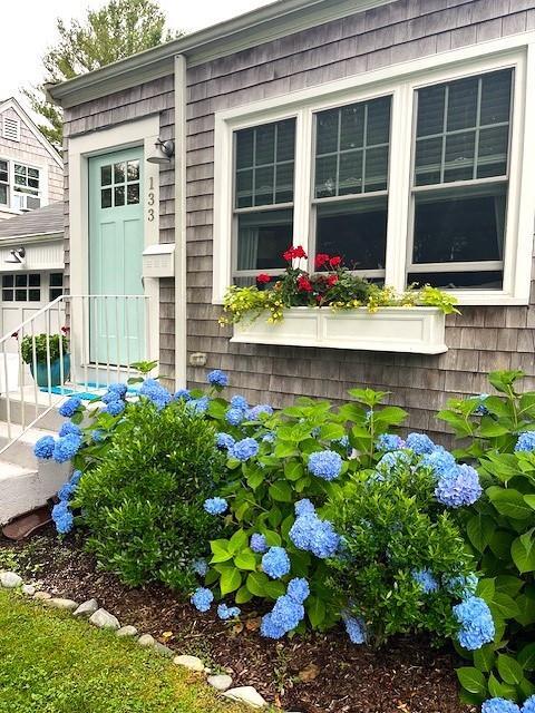 Property Photo: 133 Carroll Avenue RI 02840