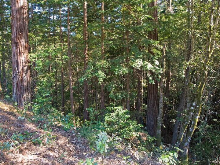 Property Photo: 46109 Fish Rock Road CA 95445