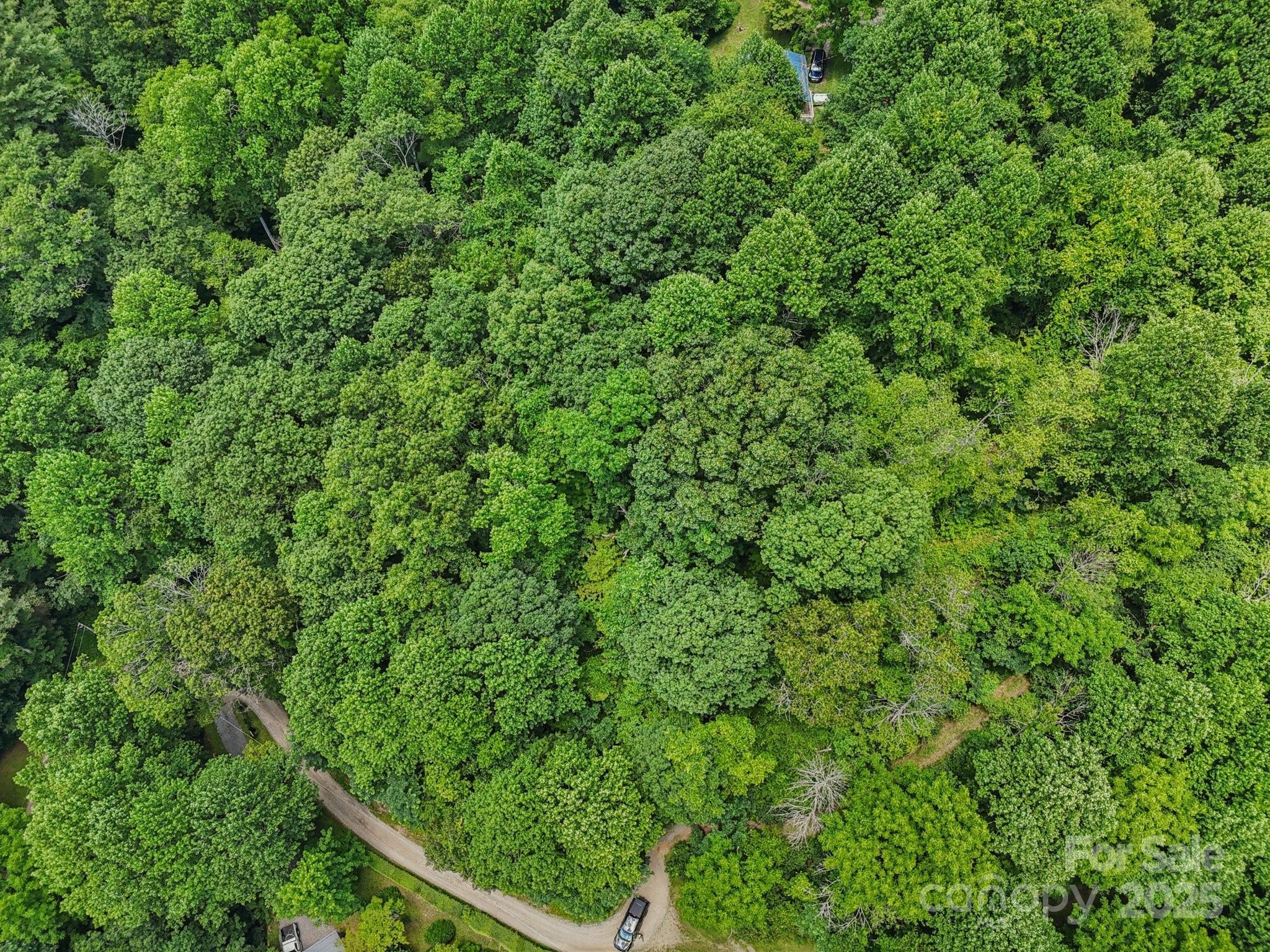 Property Photo:  0000 Everidge Drive  NC 28716 