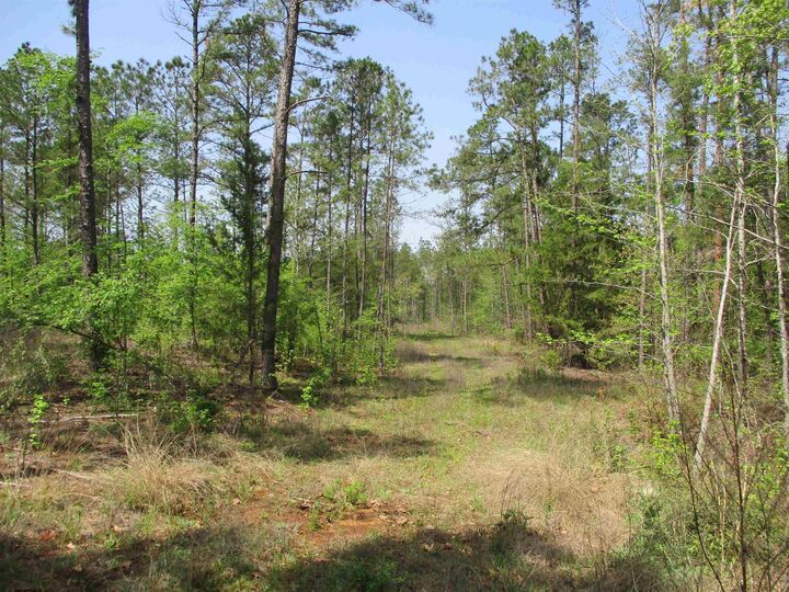 Property Photo:  0000 Cr 461 S  TX 75667 