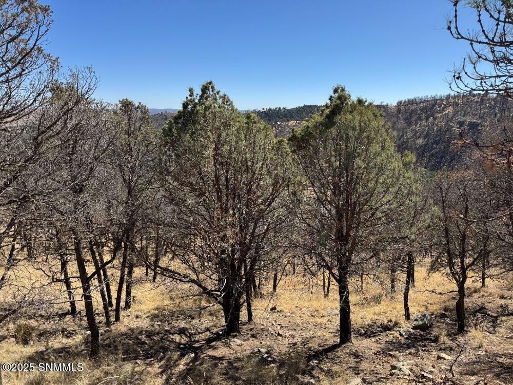 Property Photo:  106 Edgewview Court  NM 88312 