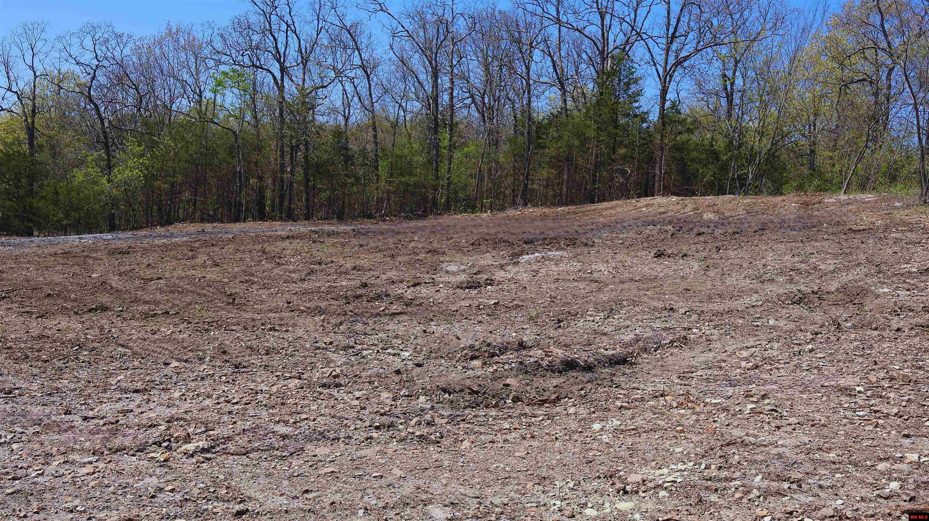 Property Photo: Lots 21 &Amp 22 Ridgewood Drive AR 72653